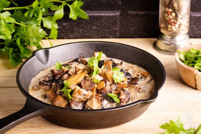 Pilz Ragout
